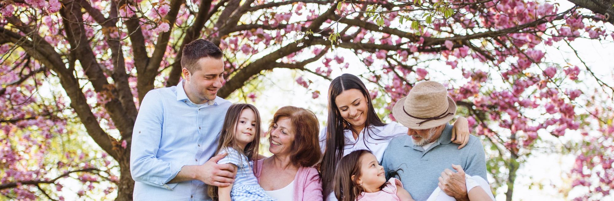 Three generations of a family together under blossoming trees